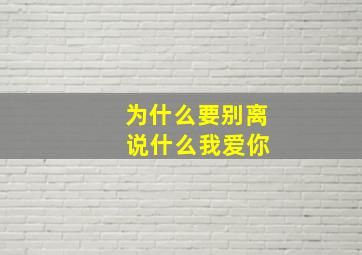 为什么要别离 说什么我爱你